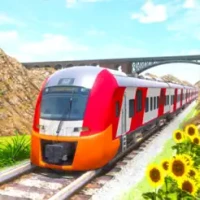 Train Simulator : Railroad 3D