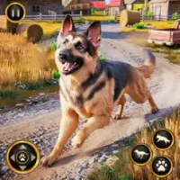Paws &amp; Path: Village Dog Games