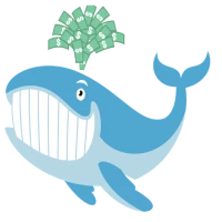 Unusual Whales