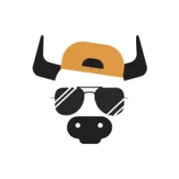 Rodeo - Social Media Scheduler