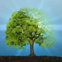 Idle Plant 3D