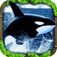Orca Simulator