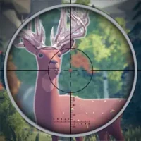 Deer Hunting Target