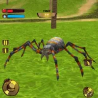 Wild Spider Tarantula Hunter