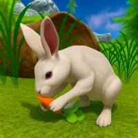 Pet Bunny Rabbit Forest Life