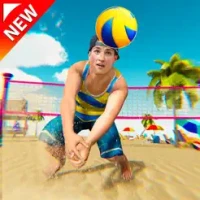 Volleyball Championship Court