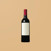 Spin the Bottle: Party Game